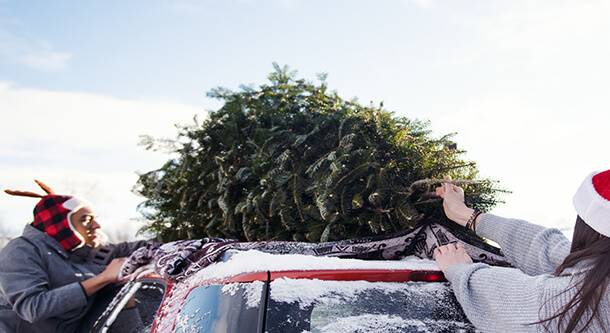 AAA encourages drivers to secure Christmas trees for safety